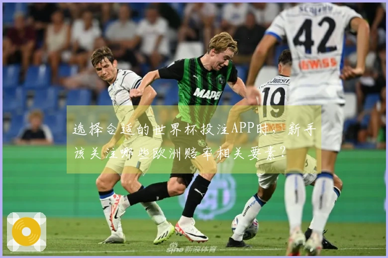 选择合适的世界杯投注APP时，新手该关注哪些欧洲赔率相关要素？