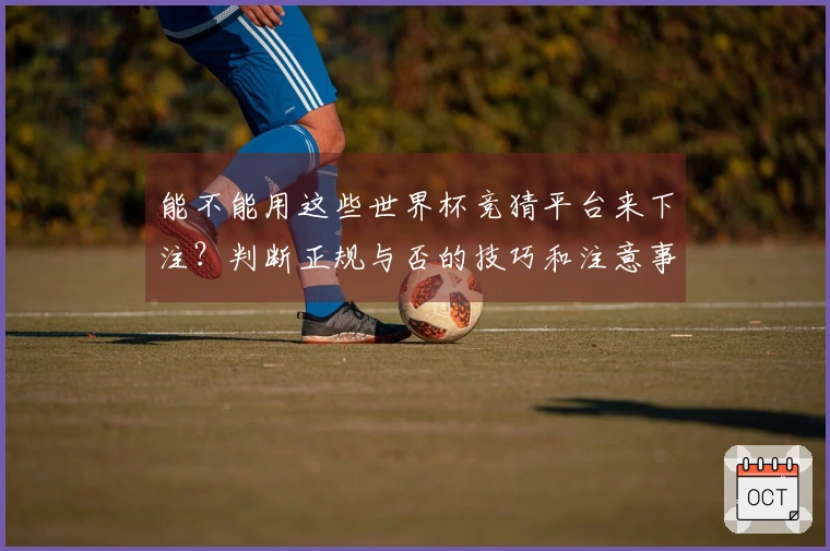 能不能用这些世界杯竞猜平台来下注？判断正规与否的技巧和注意事项分享