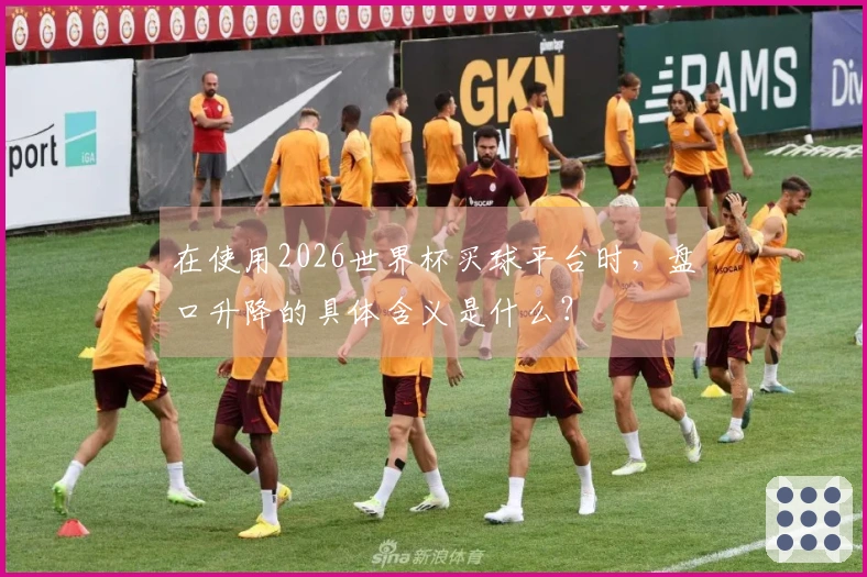 在使用2026世界杯买球平台时，盘口升降的具体含义是什么？