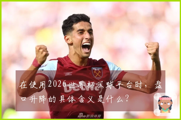 在使用2026世界杯买球平台时，盘口升降的具体含义是什么？