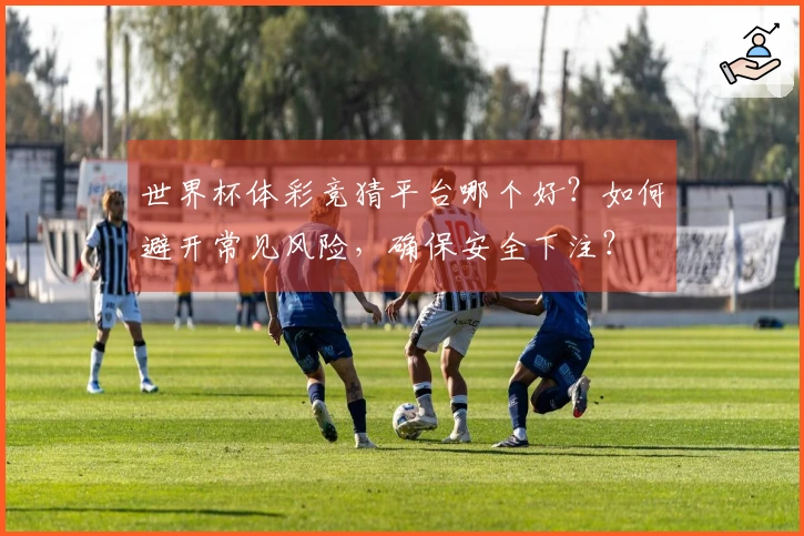 世界杯体彩竞猜平台哪个好？如何避开常见风险，确保安全下注？