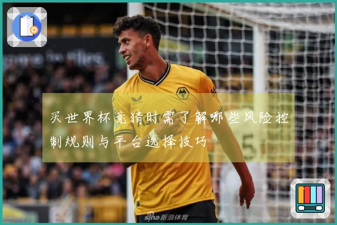 买世界杯竞猜时需了解哪些风险控制规则与平台选择技巧