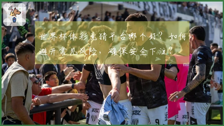 世界杯体彩竞猜平台哪个好？如何避开常见风险，确保安全下注？