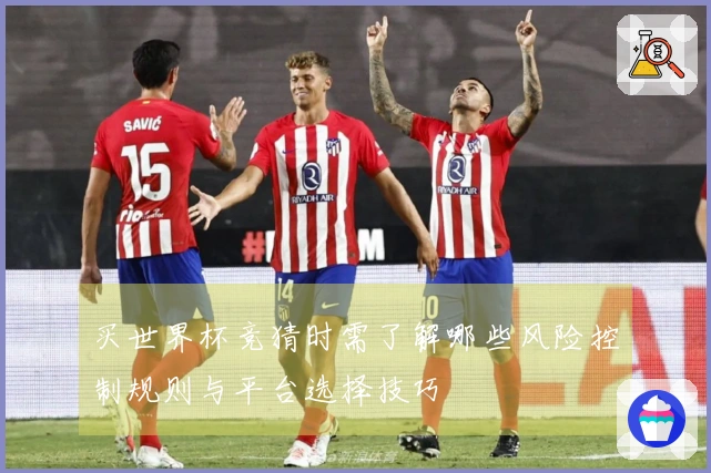 买世界杯竞猜时需了解哪些风险控制规则与平台选择技巧