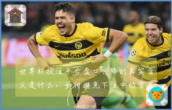世界杯投注平台盘口升降的真实含义是什么，如何避免下注中的常见误区？