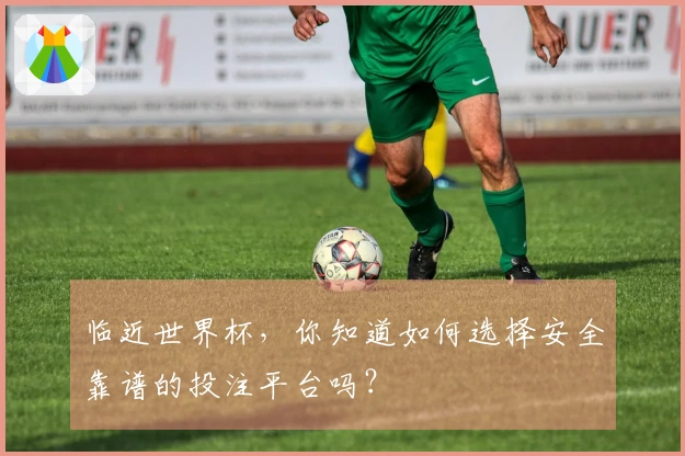 临近世界杯，你知道如何选择安全靠谱的投注平台吗？